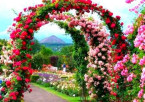 Srinagar to Chandigarh – City of Gardens
