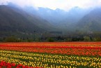 Jammu - Srinagar