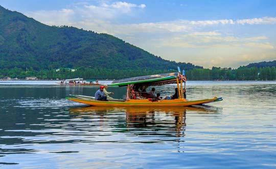 Kashmir